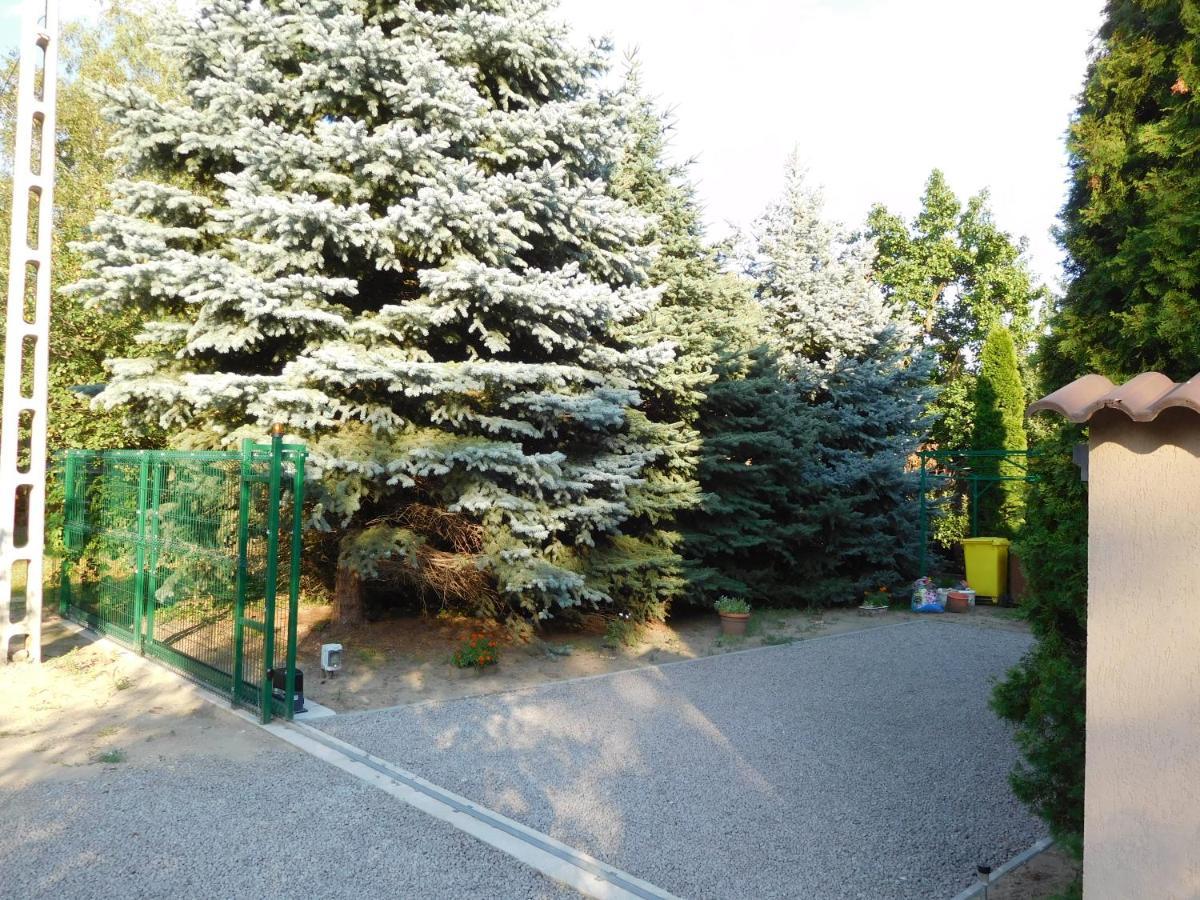 Golden Apartman Orosháza Exterior foto
